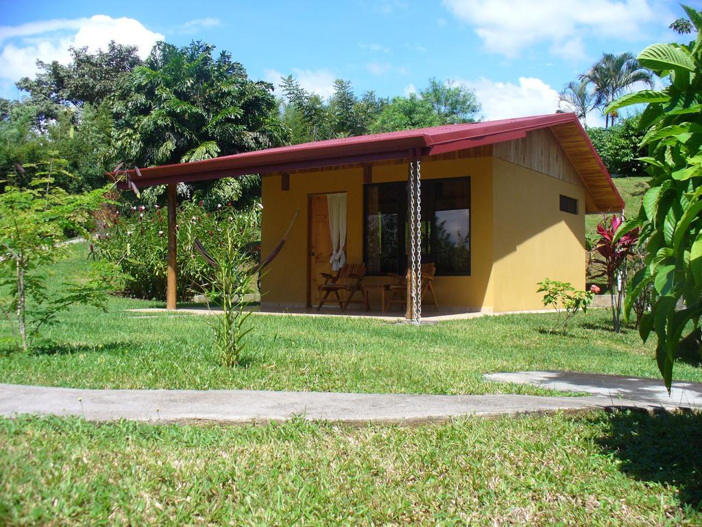 El Paraiso Verde B&B Atenas Oda fotoğraf
