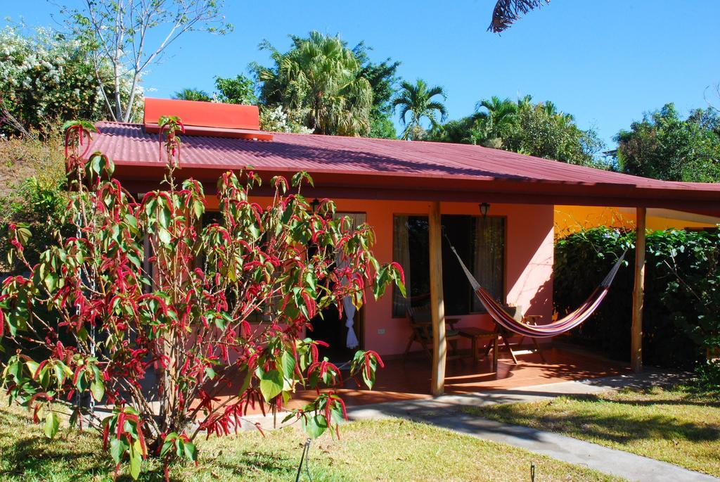 El Paraiso Verde B&B Atenas Oda fotoğraf