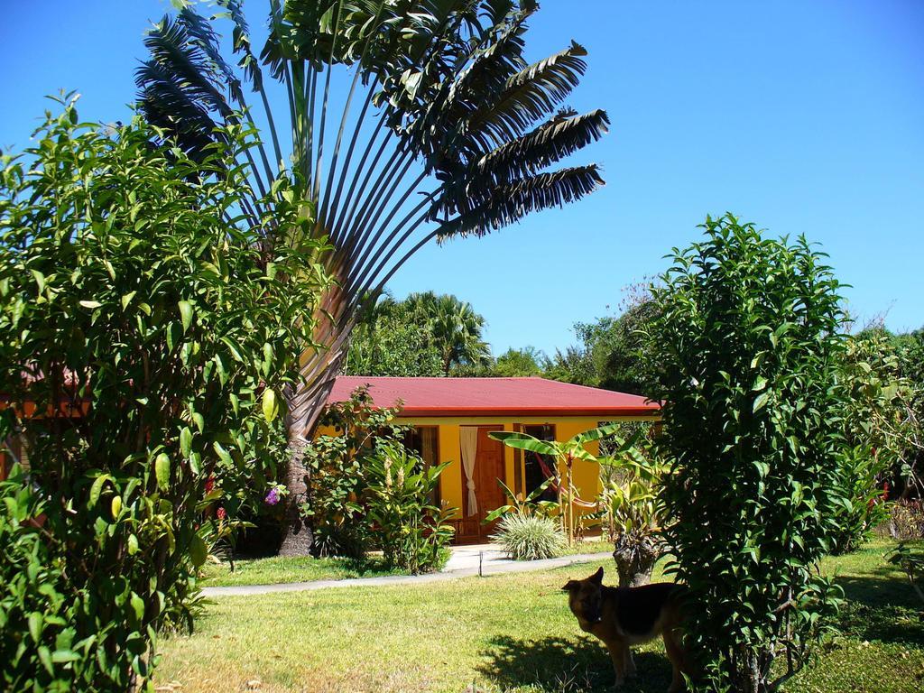 El Paraiso Verde B&B Atenas Oda fotoğraf